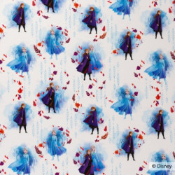 Jersey - Frozen Die Eiskönigin weiß